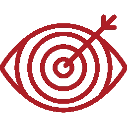 Vision Image